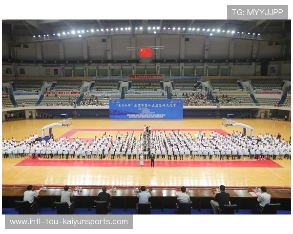 篮球项目在中国地方特色体育品牌建设中的作用探讨,篮球在体育产业市场中的价值